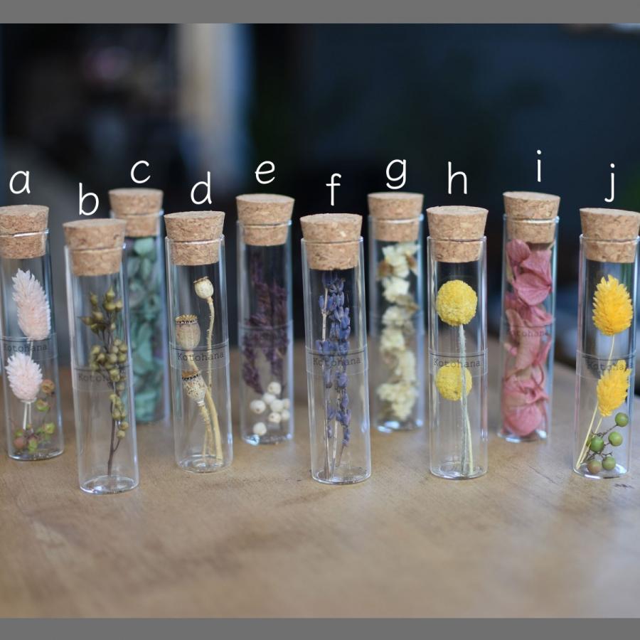 ボタニカルボトル ドライフラワー プリザーブドフラワー 試験管