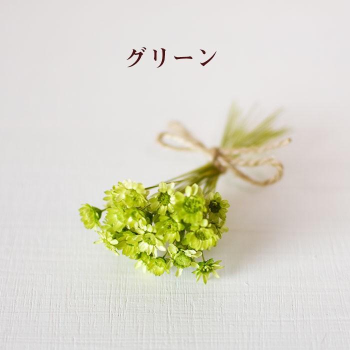 スターフラワー 小分け 花 プリザーブドフラワー ドライフラワー 花材