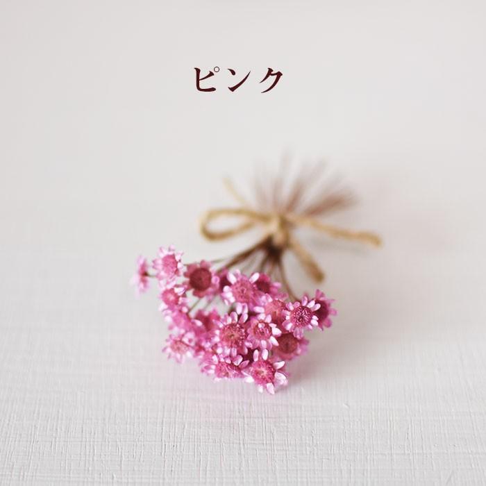スターフラワー 小分け 花 プリザーブドフラワー ドライフラワー 花材