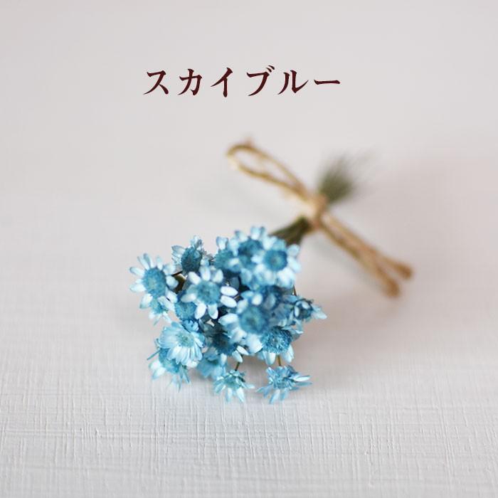 スターフラワー 小分け 花 プリザーブドフラワー ドライフラワー 花材