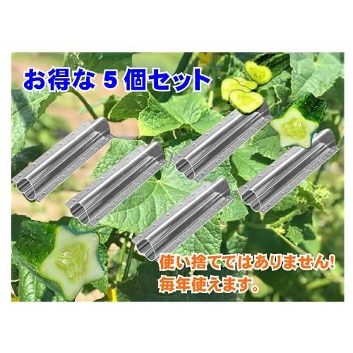 最大95 Offクーポン きゅうりの型 デコきゅうり 家庭菜園 おもしろ キュウリ 5本 セット 星形 Iloveoutdoors Sakura Ne Jp