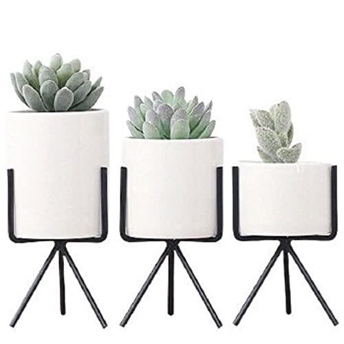 Noa S 8cm プランター おしゃれ 多肉植物鉢 サボテン鉢 インテリア 陶器鉢 プランタースタンド 3点セット ブラック 2l M0987v3zhy Kotohugショップ 通販 Yahoo ショッピング