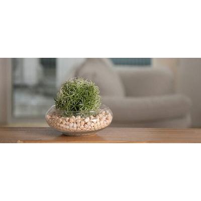 ヒノキチップチャーム☆*:.。. ４点セットの生地確認　　NO.2 消臭 除菌 除湿 防虫 天然のフレグランス 高知県土佐ヒノキ使用 ヒノキ