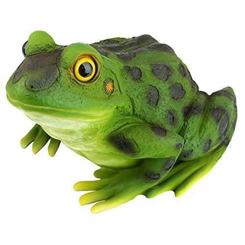 上質で快適 デザインtoscano Ribbitカエルガーデンヒキガエル像 23 Cm ポリ樹脂 フルカラー 並行輸入品 B00bb575pg Kotokotoショップ 通販 Yahoo ショッピング 100 本物保証 Www Maxipiso Com Ar