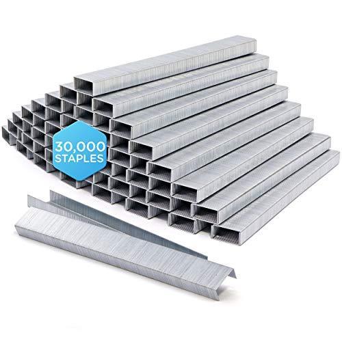 オートマトン 保存 の中で 頭 ホッチキス 洗髪 Compania Jp