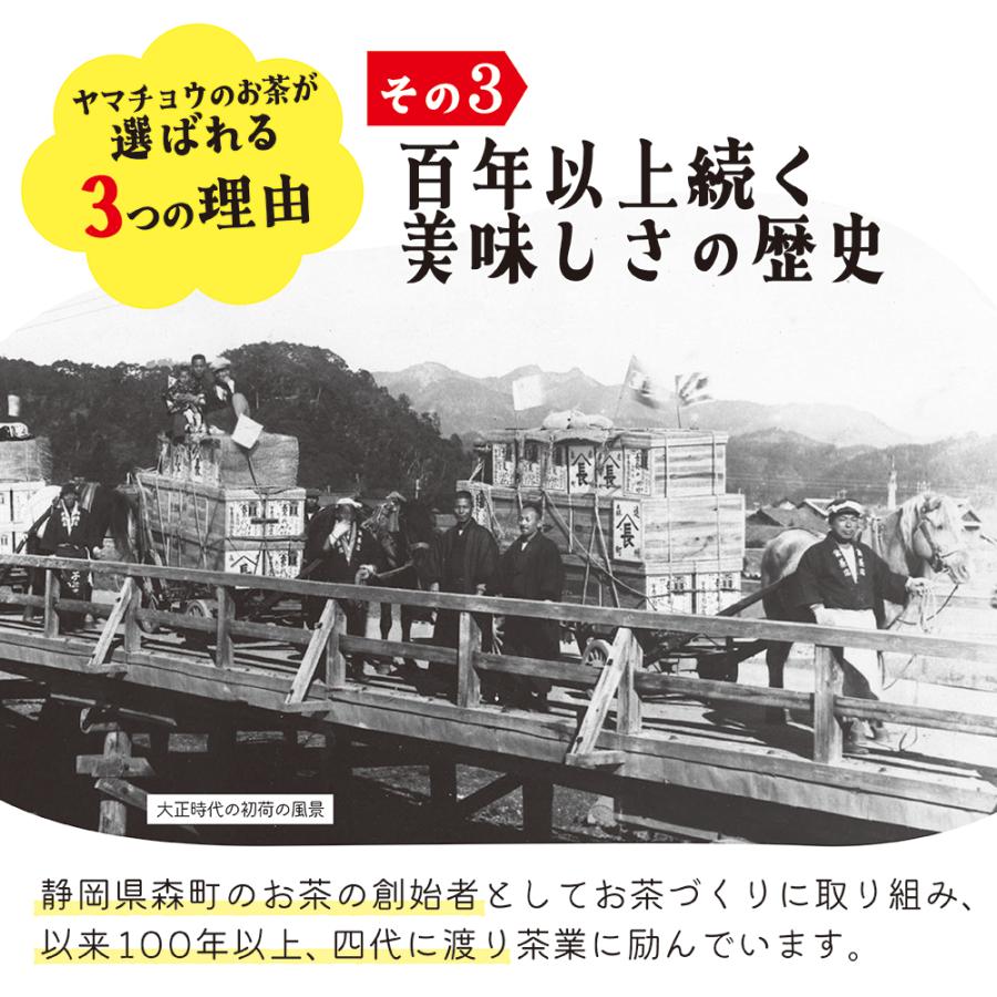 新茶 2023 森の雅 50g×10袋 まとめ買い 茶葉 リーフ 深蒸し茶 深むし茶 日本茶 緑茶 静岡茶 森の茶 高級茶 高級 老舗 エピガロカテキン カテキン｜kotomachi｜08