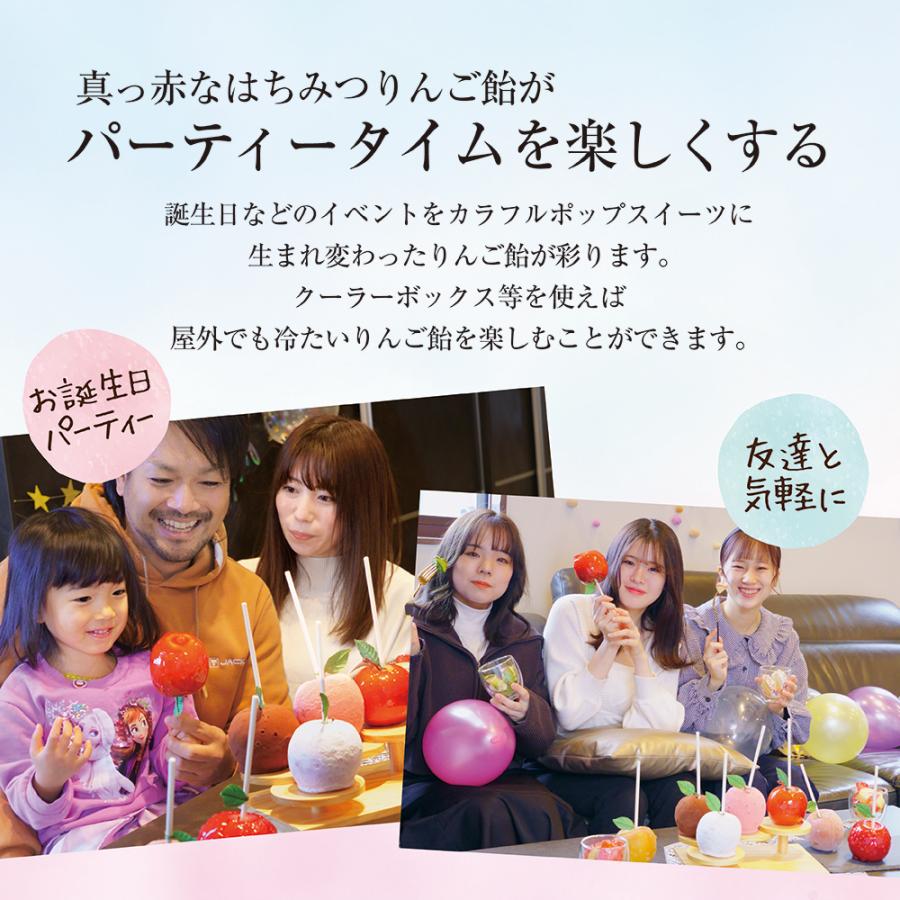 真っ赤なはちみつりんご飴 りんご飴 お取り寄せ ギフト パーティ 真っ赤なはちみつりんご飴 りんご飴 お取り寄せ ギフト パーティ