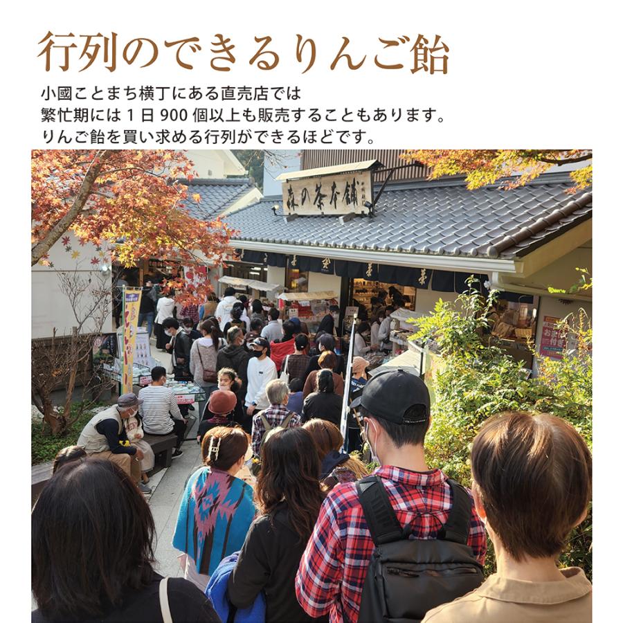 キーホルダー付き スイーツ りんご飴 真っ赤なはちみつりんご飴 誕生日プレゼント 自分用 りんご フルーツ ご褒美 デザート 音街ウナ GUMI 神威がくぽ｜kotomachi｜05