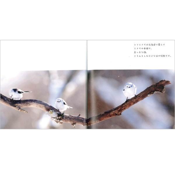 小原玲 シマエナガちゃん 写真集 ことりカフェオンラインショップ 通販 Yahoo ショッピング