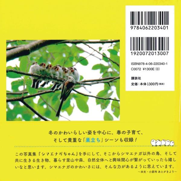 小原玲 シマエナガちゃん 写真集 ことりカフェオンラインショップ 通販 Yahoo ショッピング