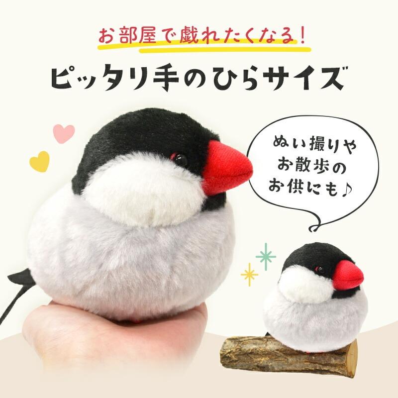 数量限定セット》【ことりすまいる】 桜文鳥 ぬいぐるみ 限定