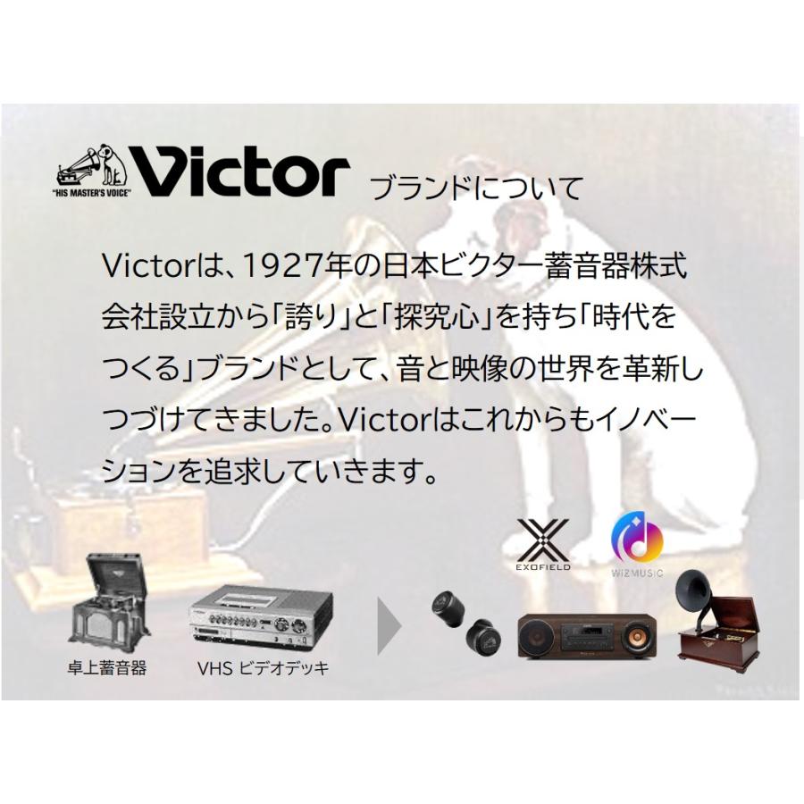 WOOD CONE Victor JVCケンウッド 一体型 ウッドコーン EX-D6 WOOD CONE Victor JVCケンウッド 一体型 ウッドコーン EX-D6