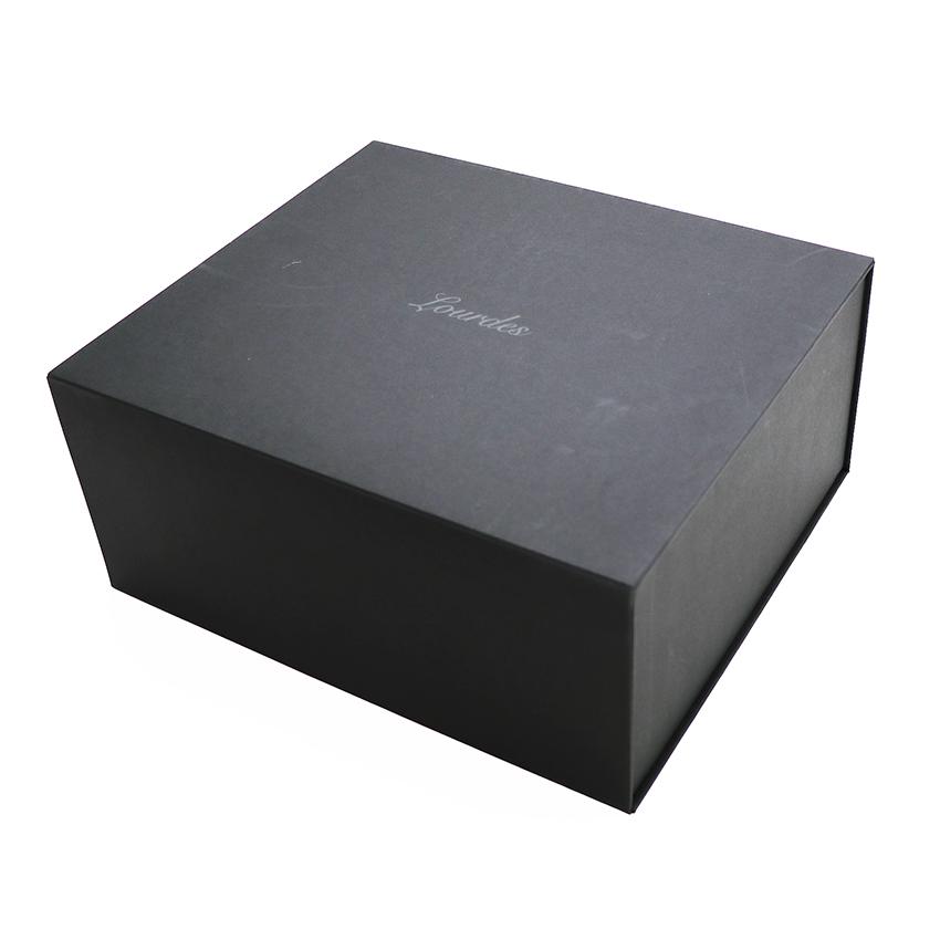 保証付】【国内正規品】ルルドフェイスメイク プラズマエステブラシ AX