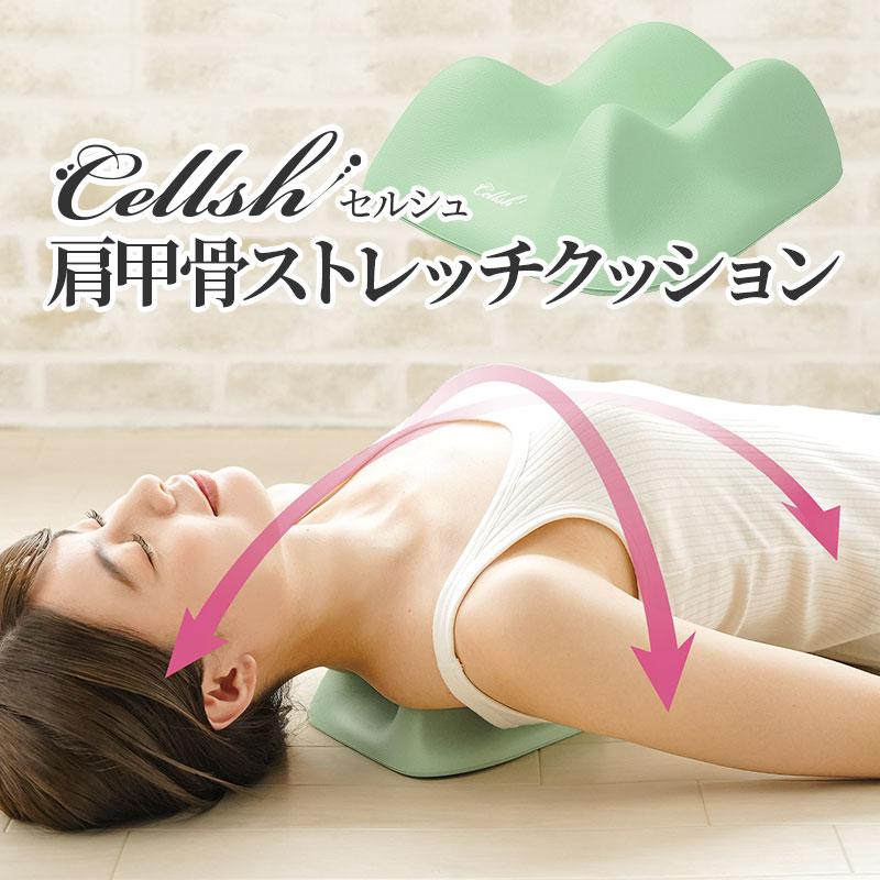 肩甲骨ストレッチクッション セルシュ Cellsh ストレッチピロー ポール 