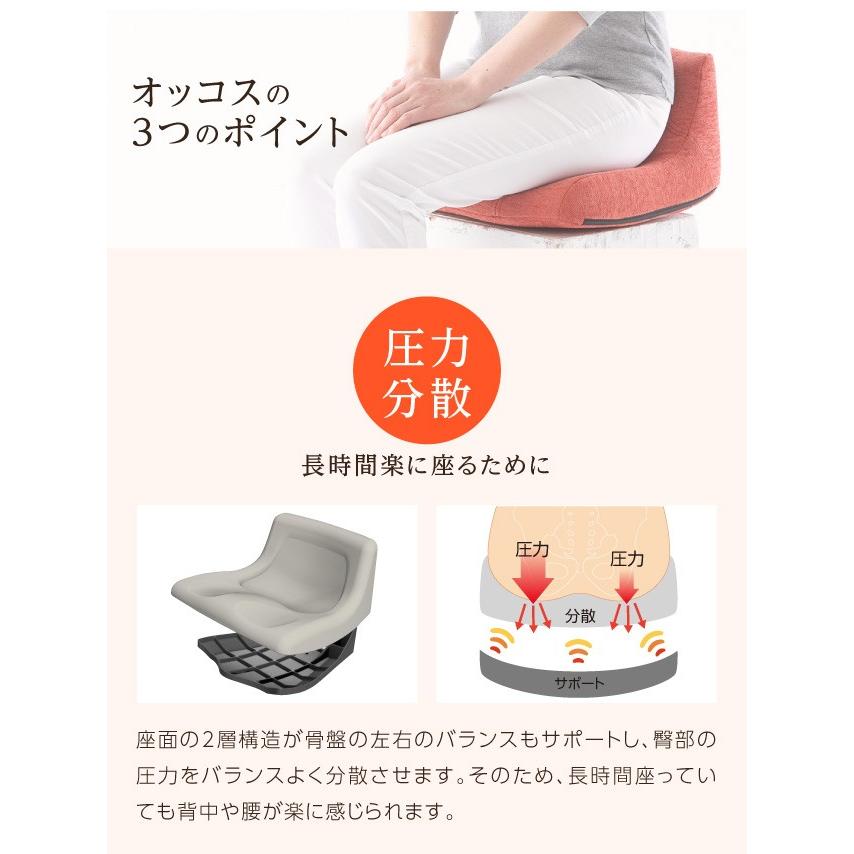 完売 腰痛 クッション 座椅子 姿勢矯正 骨盤矯正 猫背矯正 腰痛対策 シートクッション デスクワーク ラボネッツ 骨盤バランス オッコス 日本全国送料無料 Zoetalentsolutions Com