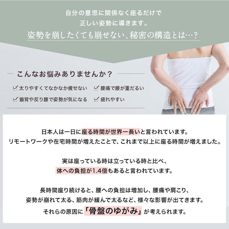 座るだけで腰の負担を軽減する姿勢ケアシートご家庭やオフィスなどで長時間楽に座れて 身体の負担を軽減したい方にお勧め Style 生地なし仕様 Standard N01 Mtg スタイルスタンダード