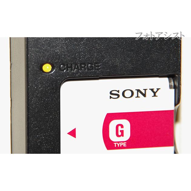 サイバーショット Gシリーズ SONY ソニー BC-CSG(D) バッテリー