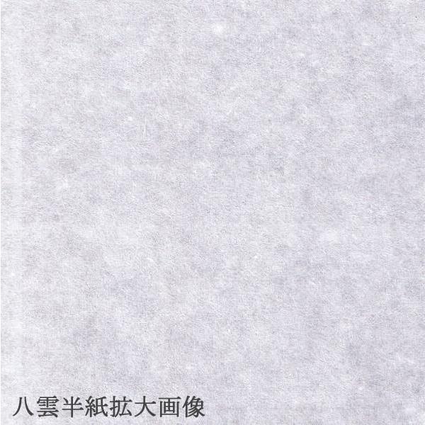 書道半紙 八雲半紙 100枚 （練習・清書用）｜koubaido｜02