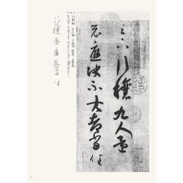 王羲之尺牘（二）草書 テキストシリーズ19・王羲之の書6 天来書院