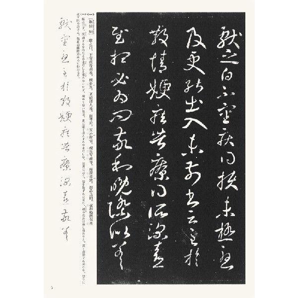 王献之（二）草書 テキストシリーズ22・王羲之の書9 天来書院 : 書道