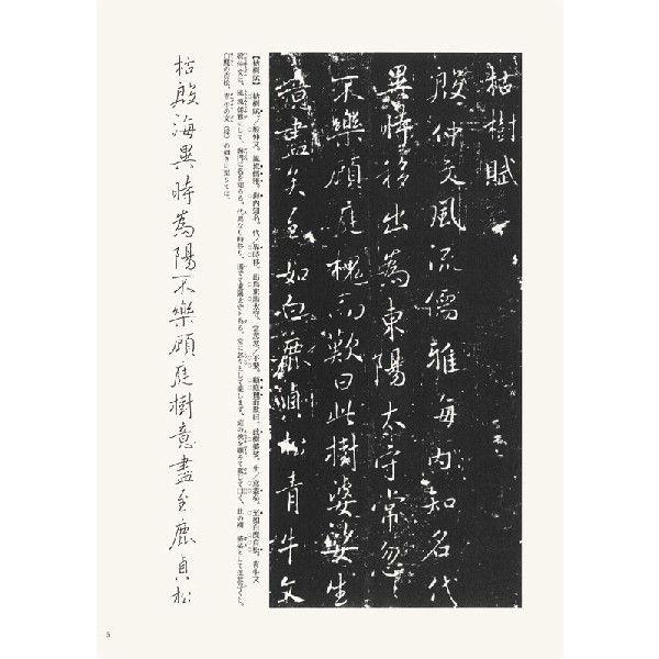 枯樹賦・文皇哀冊・夢奠帖 テキストシリーズ37・隋唐の行書草書3 天来