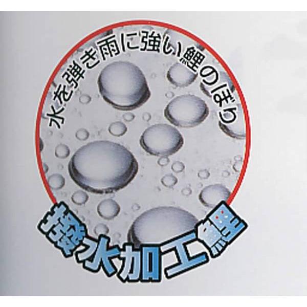 こいのぼり 庭園用 徳永 【2019年新作】 鯉幟 家紋・名前入可能 セット各種（ポール別売） 風舞いセット 6m6点セット 「薫風の舞い鯉 風舞い」