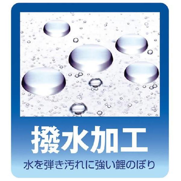 こいのぼり 庭園用 旭天竜 【2019年新作】 鯉幟 家紋・名前入可能 鯉3