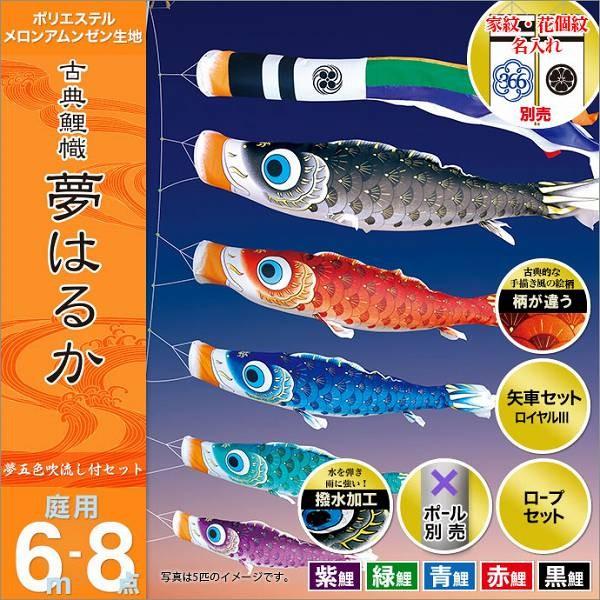 こい旗幟 運動場用 徳永 【2019年新作】 鯉幟 家紋・名まえ入能力のある 仕掛ける各種（極点別売） 夢遠々しい仕掛ける 6m8点仕掛ける 「名文鯉幟 夢遠々しい」