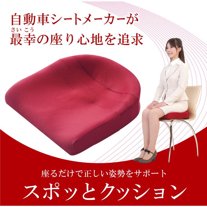 クッション 疲れにくい 姿勢改善 腰痛み 洗濯 清潔 Ｋ−ＳＰＺ−521 スポッとクッション ネイビー_1