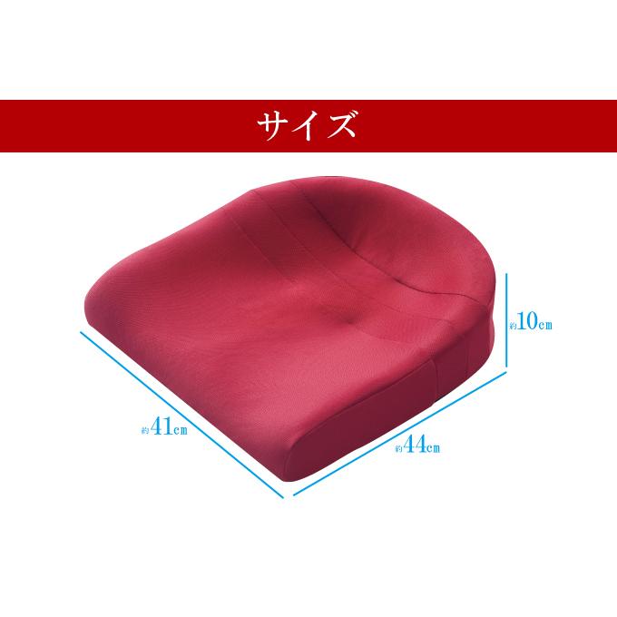 クッション 疲れにくい 姿勢改善 腰痛み 洗濯 清潔 Ｋ−ＳＰＺ−521 スポッとクッション ネイビー_6