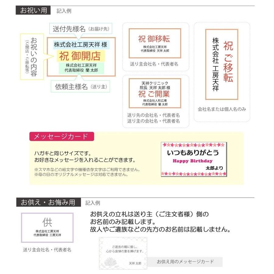 お中元 胡蝶蘭 大輪7本立ち49輪以上 白 会社設立 オープン 内祝い スタンド 大輪 ３本立ち ５本立ち お悔や花 お供え 葬儀 葬式 仏事 法事 １回忌 献花 おしゃれ_9