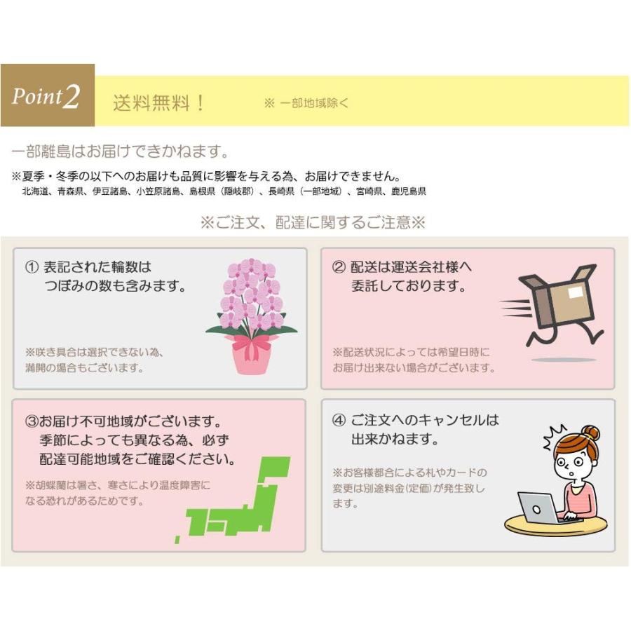 お中元 胡蝶蘭 大輪7本立ち49輪以上 白 会社設立 オープン 内祝い スタンド 大輪 ３本立ち ５本立ち お悔や花 お供え 葬儀 葬式 仏事 法事 １回忌 献花 おしゃれ_4