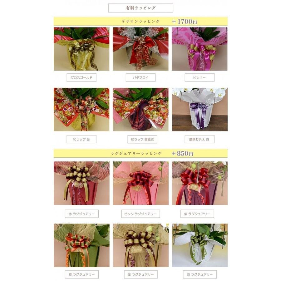 【美品】 お中元 胡蝶蘭 大輪7本立ち77輪以上 白 会社設立 オープン 内祝い スタンド 大輪 ３本立ち ５本立ち お悔や花 お供え 葬儀 葬式 仏事 法事 １回忌 献花 おしゃれ 【FKP1125747009】(40055円)