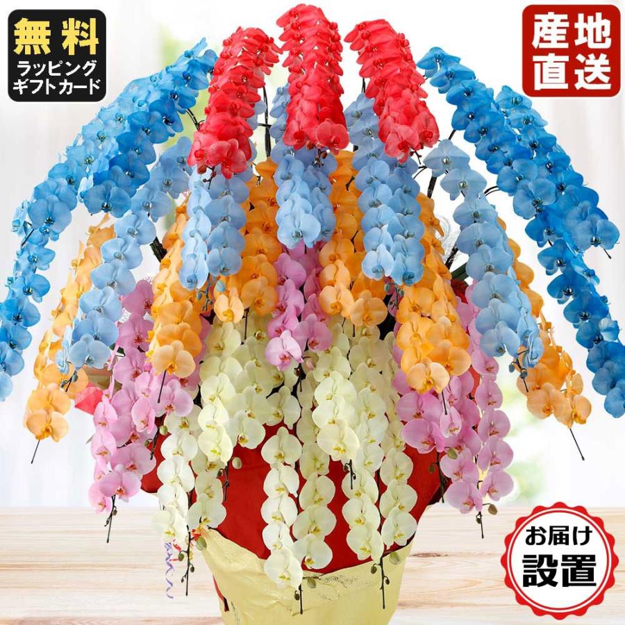 最先端 お中元 胡蝶蘭 大輪30本立ち 雅 スプレー色加工 ミックス 生花 鉢植え お届け設置付き 会社設立 オープン 内祝い スタンド 大輪 ３本立ち ５本立ち オープニング大放出セール Www Technet 21 Org