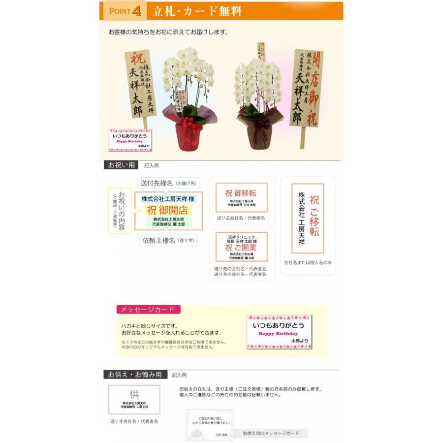 胡蝶蘭 大輪 ピンク 3本立ち 45輪 ギフト お祝いプレゼント 贈り物 お供え お誕生日 お供え 開店祝い 開業祝い 移転祝い 還暦 仏花 叙勲 Takedapink45 人形広場 雛人形 五月人形専門店 通販 Yahoo ショッピング