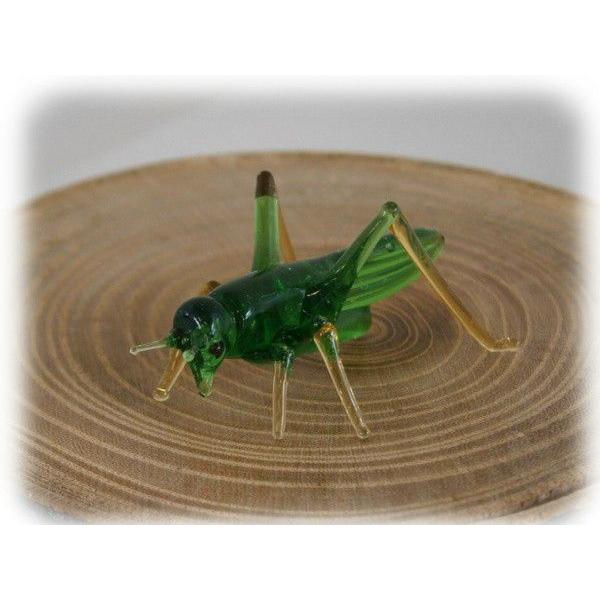 ガラス細工昆虫 バッタ Ogcs Bata ガラス工房ぎやまん2 通販 Yahoo ショッピング