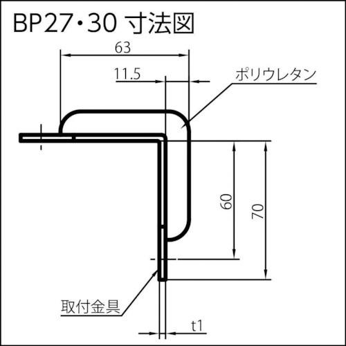 IWATA　バンパープロ　BP30　(1m)　BP30-L1