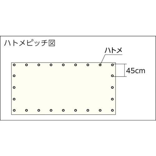 ユタカ　シート　防虫　防炎透明糸入シート　1.8m×3.6m　B156　8200　オレンジ