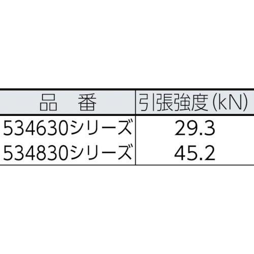 BlueWater　セイフライン　12.7φ×91m　534830RDYE　6357　赤／黄