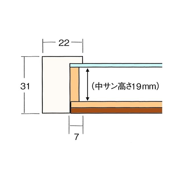 〔 長方形額 〕 横長額 600×300mm パールホワイト 厚みのある作品収納可納 厚み19mmまで 縦横兼用 額 額縁 フレームの画像