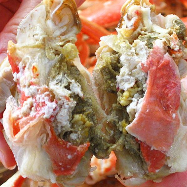 〔身入り抜群のA級品 〕カナダ産ボイルズワイガニ姿・約500g×6尾 冷凍ズワイ蟹〔代引不可〕 約500g×6尾