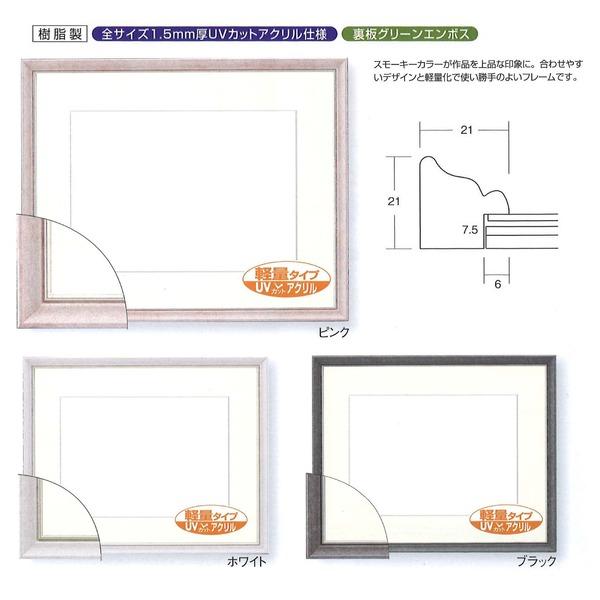 〔 軽量水彩額 〕 水彩額 F10号 ブラック 色あせを防ぐUVカットアクリル・マット付き 額 額縁 フレームの画像