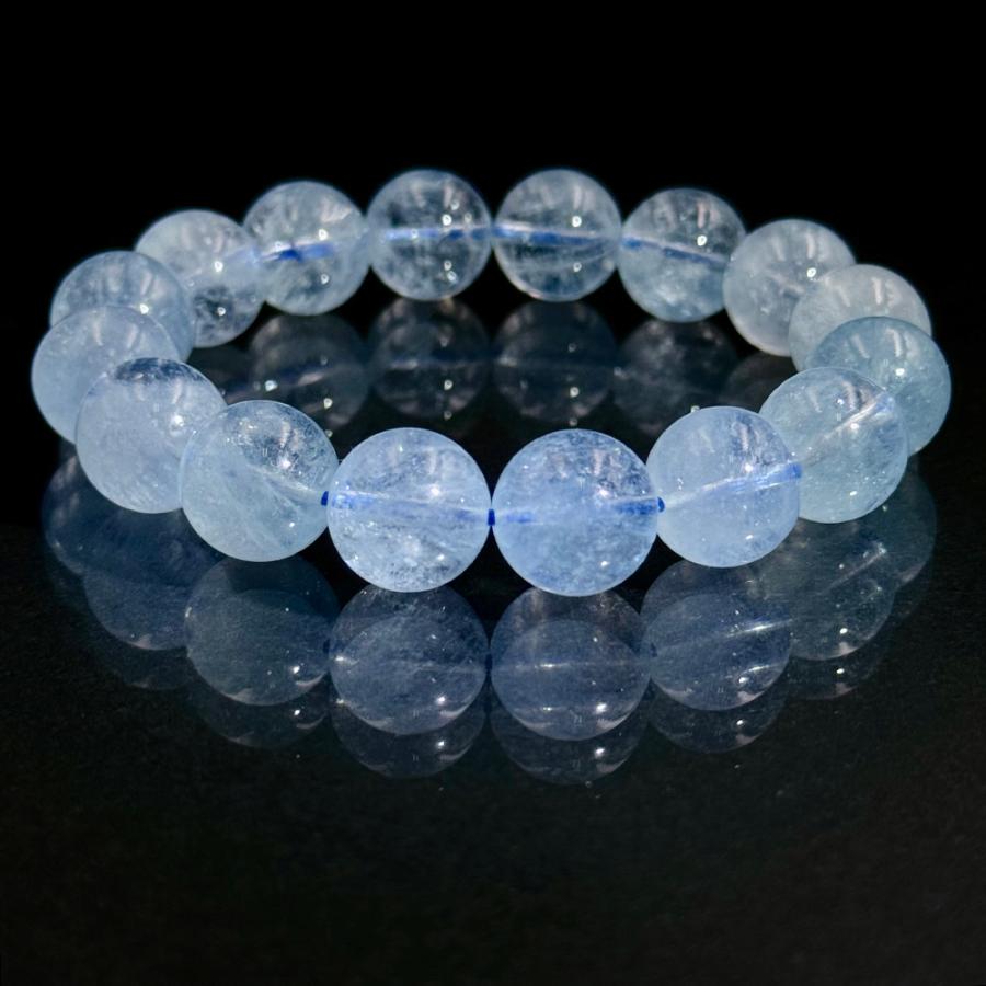 蝶の標本 ジャングルを舞うモルフォ(特A1A)新 発売 蝶の標本