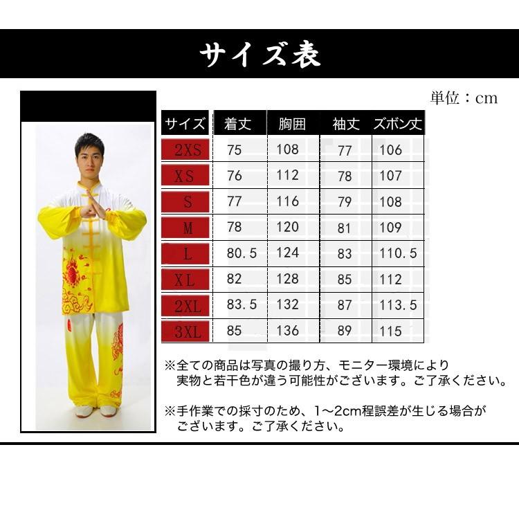 太極拳 / 太極拳服 / 太極拳表演服 / カンフー服 / 演舞服 / 武術 / カンフー / 気功　Realax 男女牛乳糸中国龍グラデーション太極拳服_11