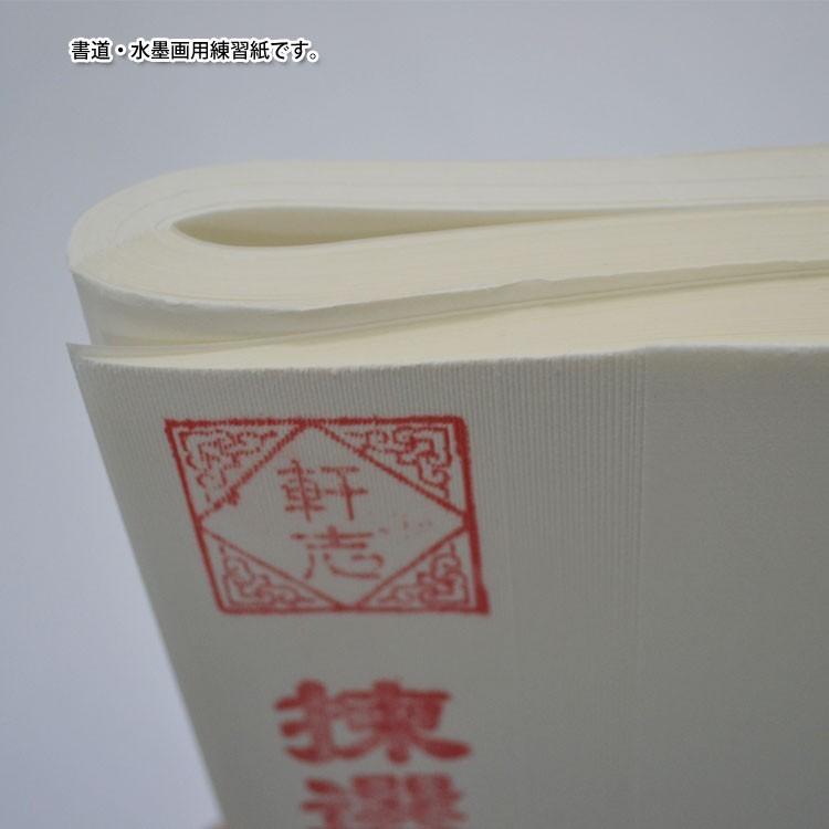 水墨画 / 書道 墨彩画 習字 日本画 水墨画用 書道用 写経用 書道