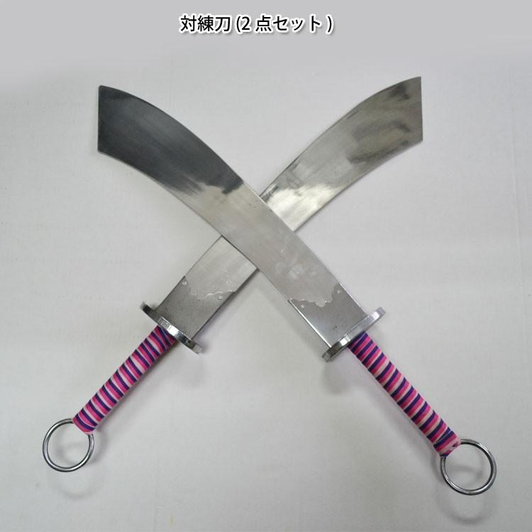 太極拳 / 長拳 南拳 南拳刀 刀 武術 カンフー バランスが良く持ち