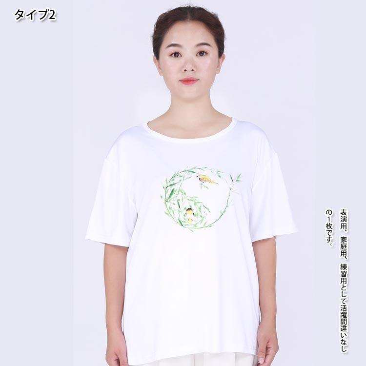 太極拳 / 太極拳Tシャツ 武術Tシャツ Tシャツ 半袖 武術 カンフー 気功 