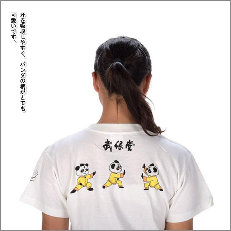 メール便対応 太極拳 武術華武堂 カッコイイ中国武術デザインｔシャツ