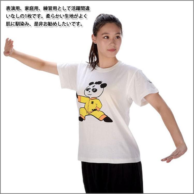 太極拳)カッコイイ中国武術デザインTシャツ！練習には武術らしい動き