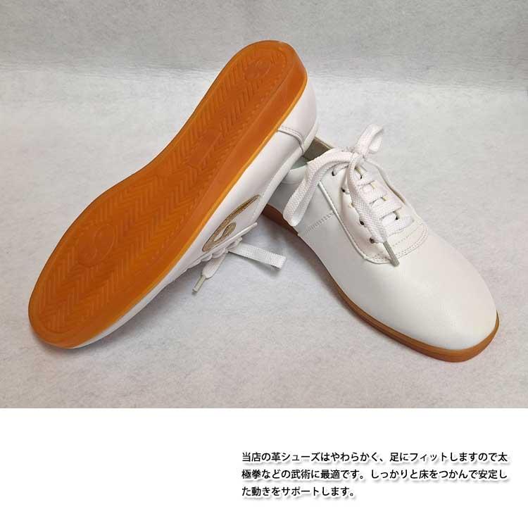 太極拳 / 太極拳シューズ 武術シューズ カンフーシューズ 柔らかくすぐ
